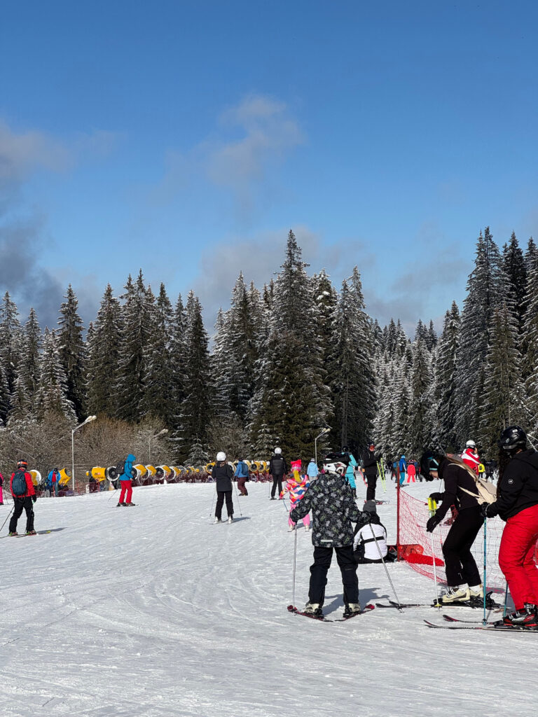 Banderishka Meadow